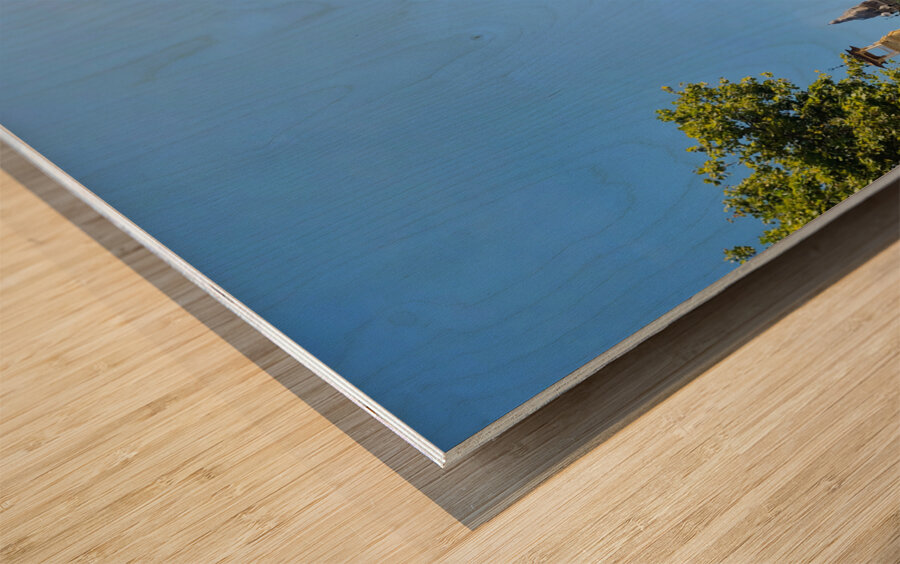 Museum of Catalan Visual Arts: Pillars of Memory Wood print