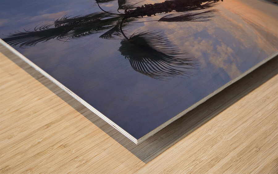 Palms Over the Skyline Wood print