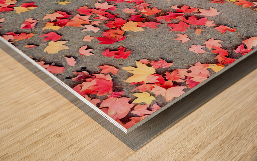 Colorful Fallen Beauties Wood print