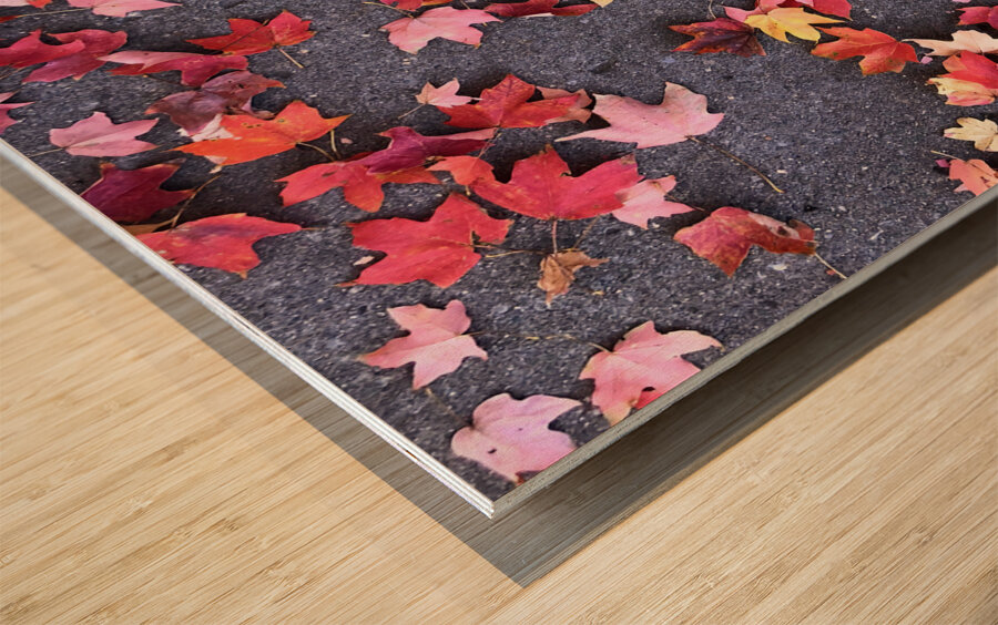 Grounded in Colors 1B Wood print