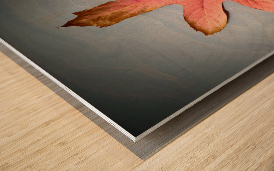 Losing Sight of Fall Wood print