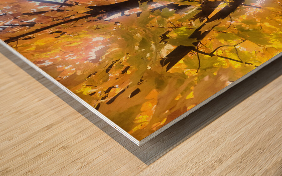 Golden Hour Tree Time 1A  Wood print