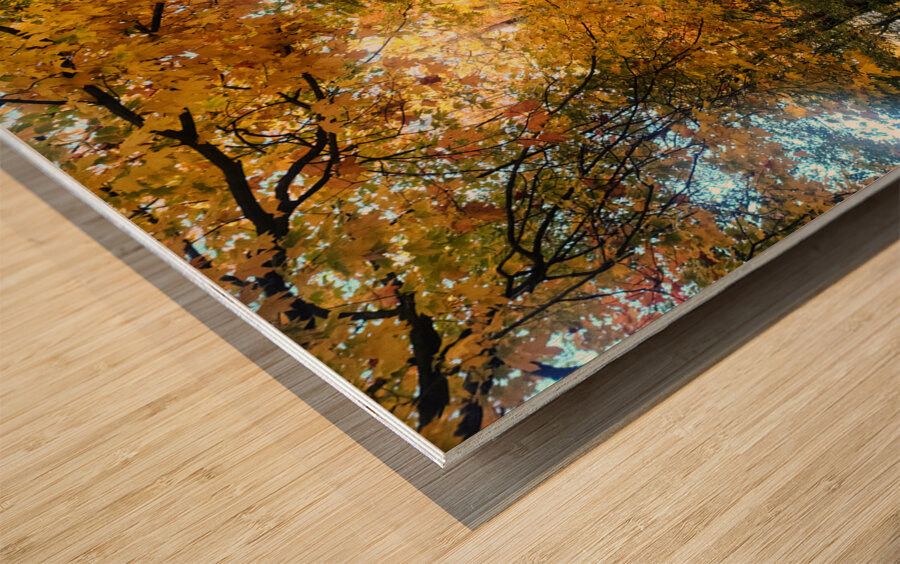 Fall Over the Road Wood print