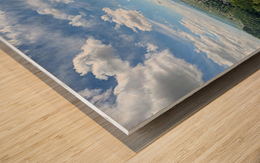 The Town That Grew With You Wood print