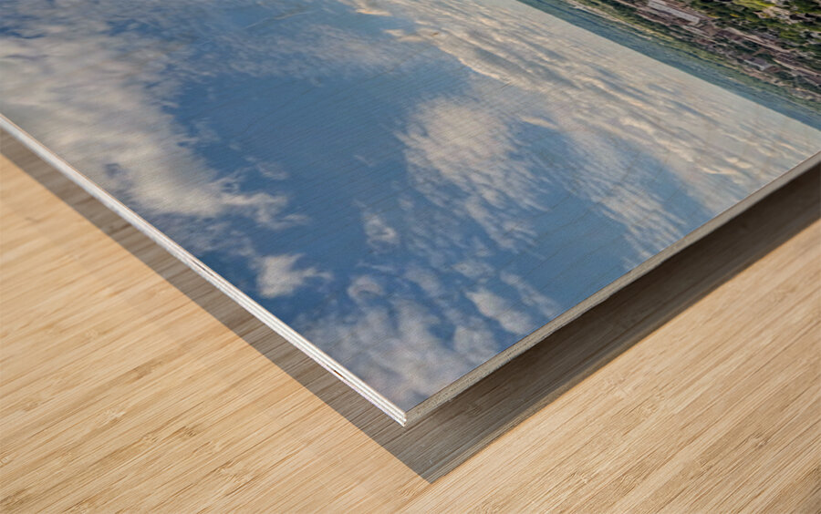 Sky Above Roots Below Wood print