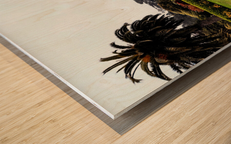 Civic Eden: The Park Awakens Wood print