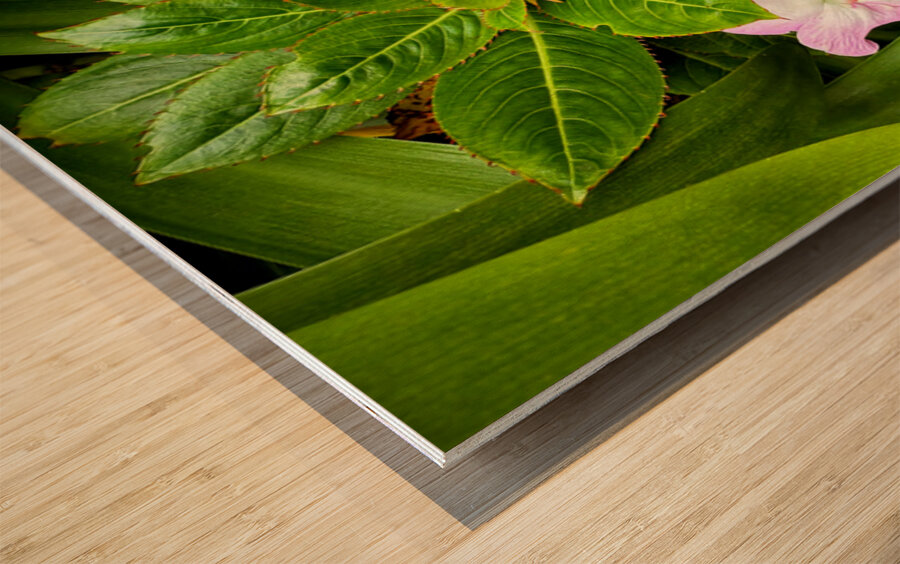 Twin Beauty & Symmetry Wood print