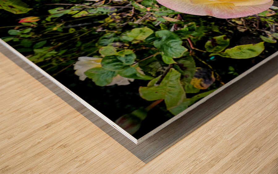 Alchemy in Bloom Wood print