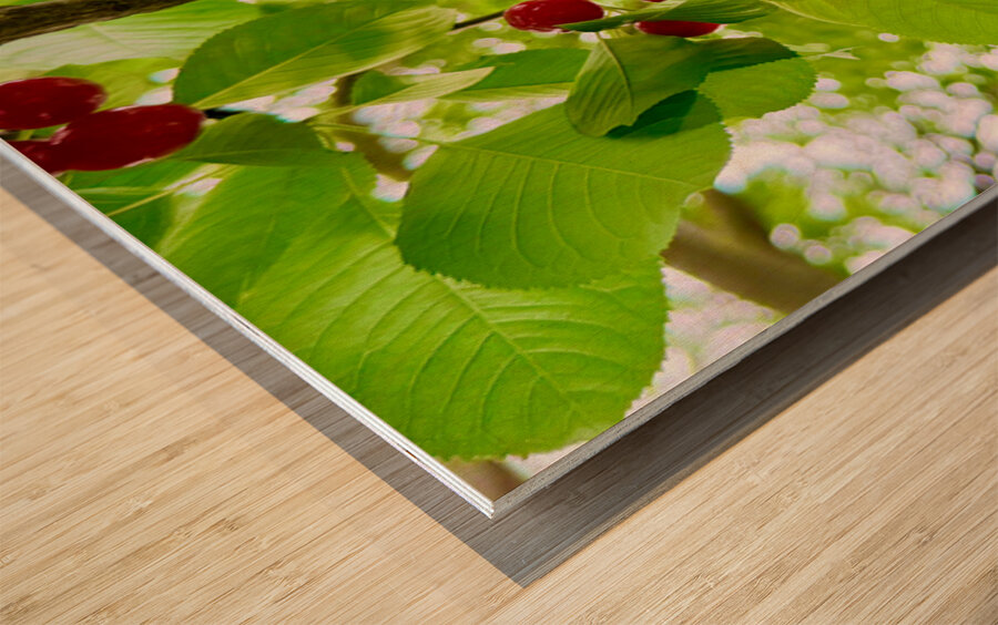 The Patience of Fruit: A Quiet Celebration Wood print