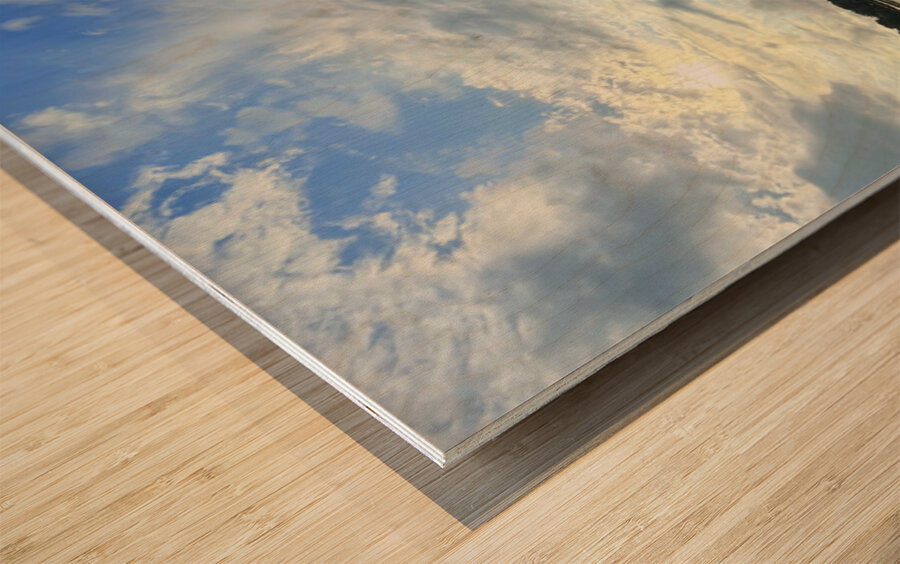 Between Earth and Ether Wood print