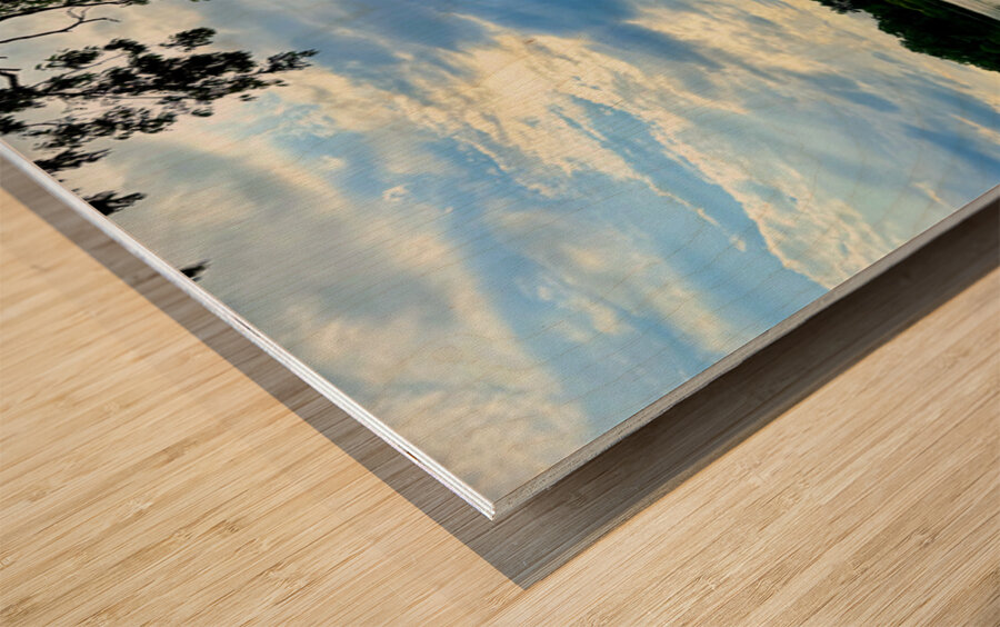 Veins of the Earth Voice of the Sky Wood print