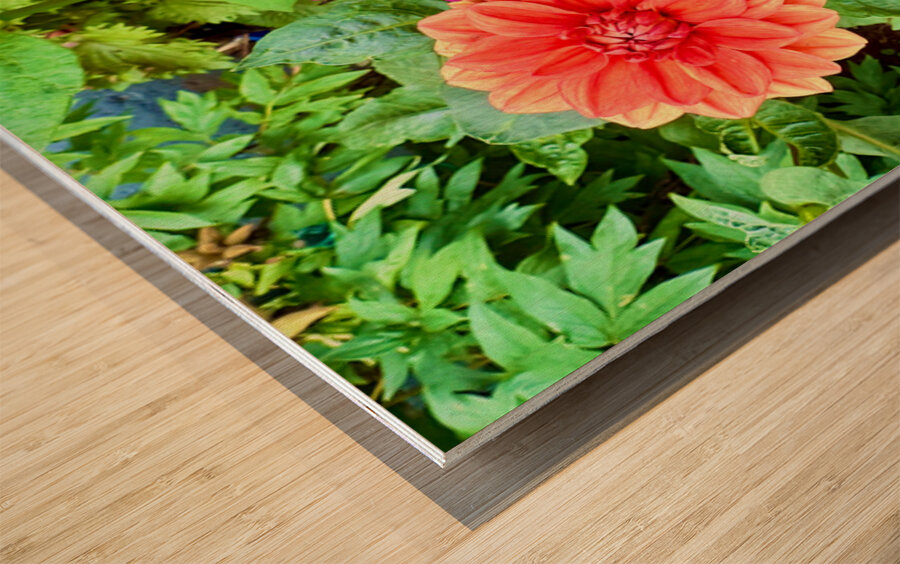 Nature’s Take on Balance and Beauty Wood print