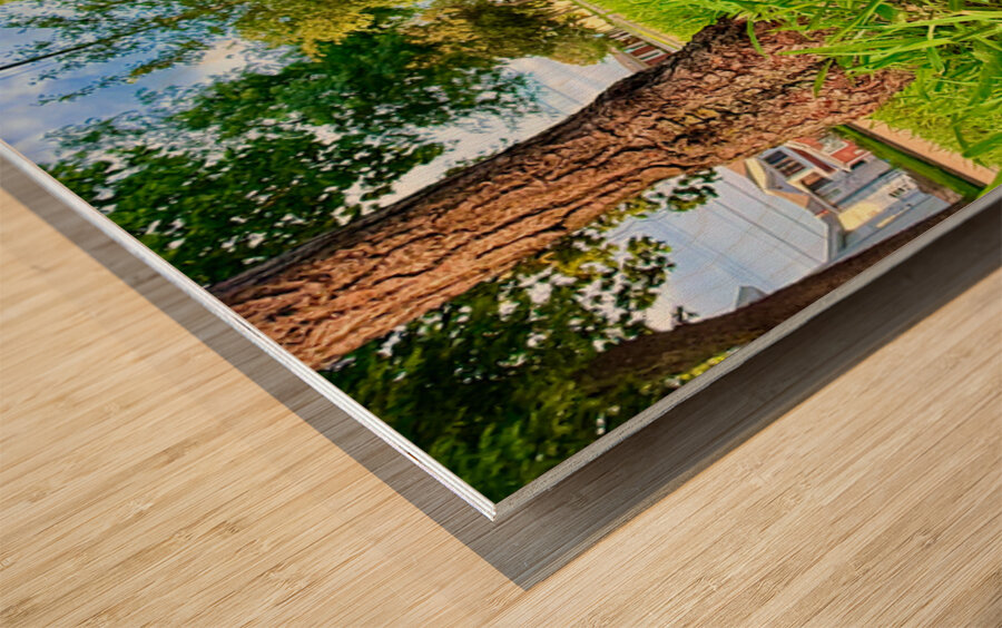 The Lone Umbrella of Morning Light Wood print