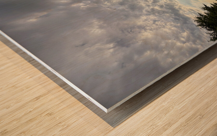 Twilight’s Breath Along the Waterfront Path Wood print