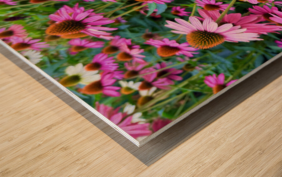 The Garden Collective Wood print