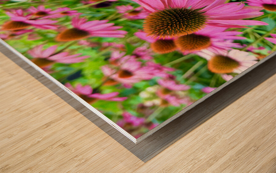 Petal Parade Wood print