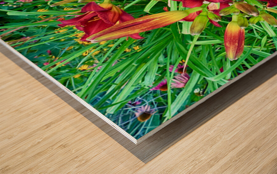 Scarlet Awakening Wood print