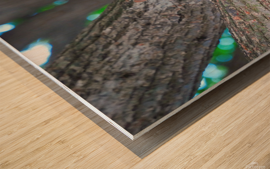 Tastes Like Chicken...Because it IS Wood print