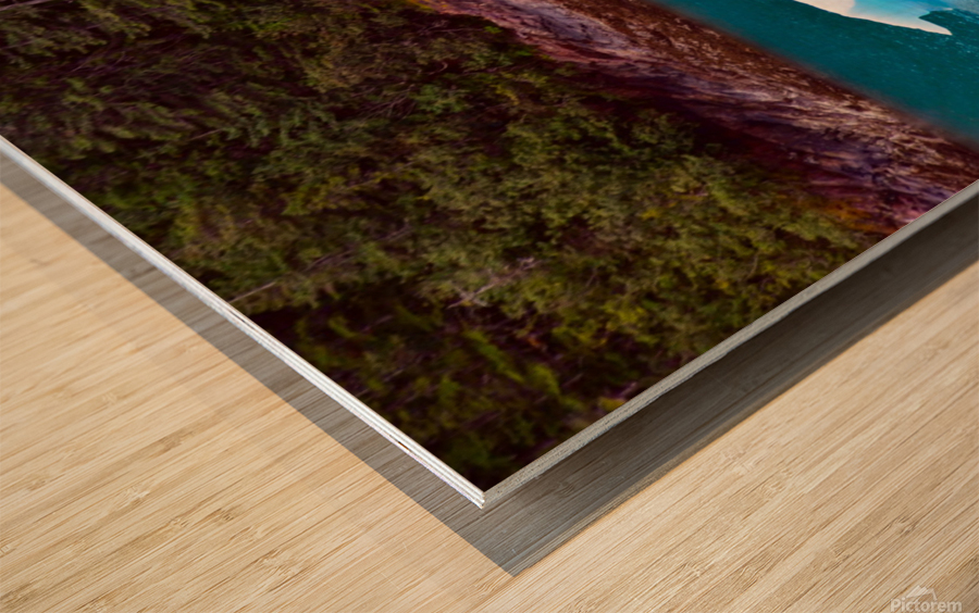 No Man is an Island Iceberg Wood print