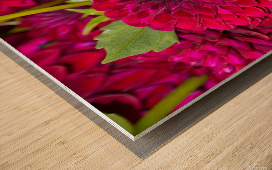 Flower Bloom 4 Wood print