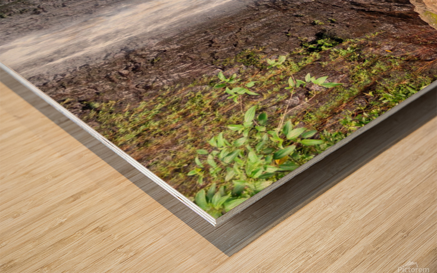 Hiking Hawaii 4 Wood print