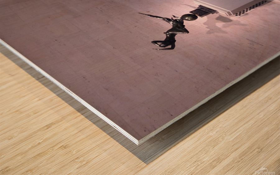 Museum Reflections 1B Wood print