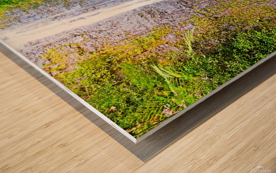 Falling for Colors Wood print