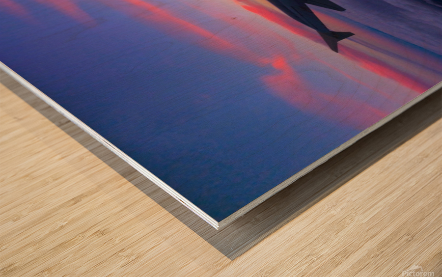 Flying into the Sunset 4 Wood print