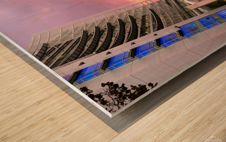 San Rose California Wood print