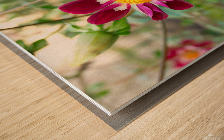 Flower Bloom 5B Wood print