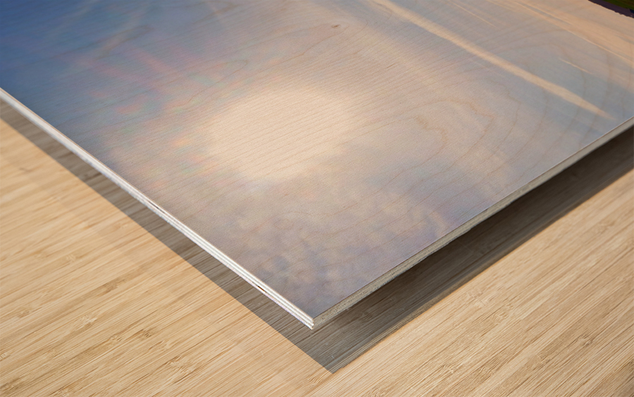 Stone Henge 6 Wood print