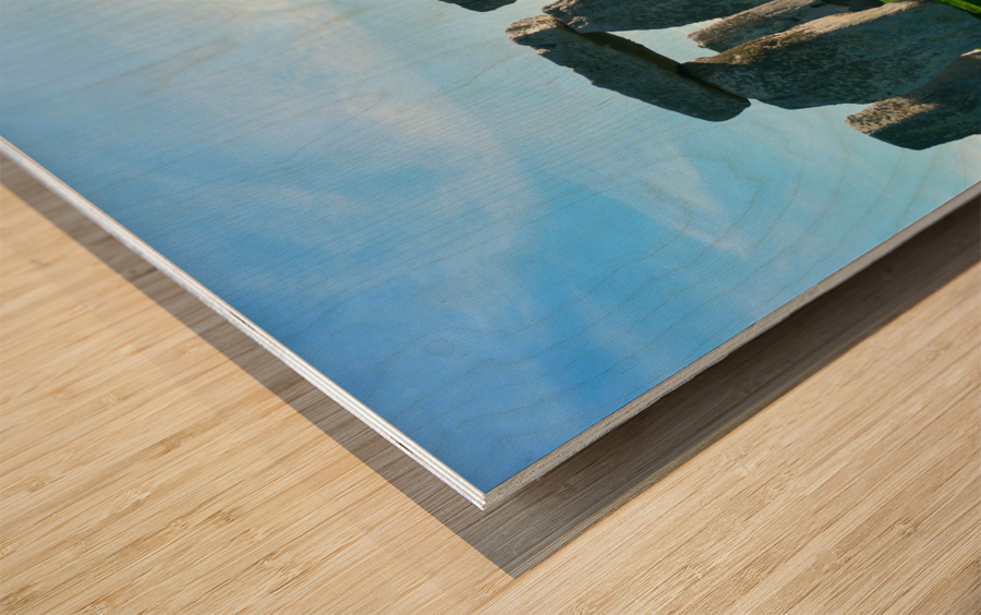 Stone Henge 5 Wood print