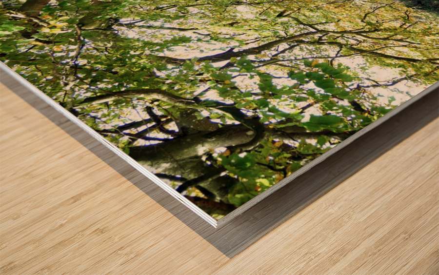 Rooted in Strength Wood print