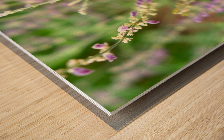 To Bee or Not to Bee -- Small Flower Big Flavor  Wood print