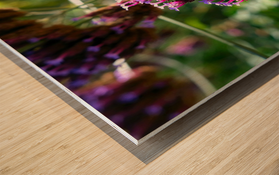 Cluster of Miniature Flowers Wood print