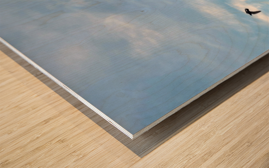 Eiffel Tower 1 Wood print