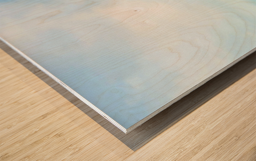 Eiffel Tower 1B Wood print