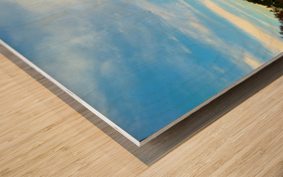 Eiffel Tower 2C Wood print