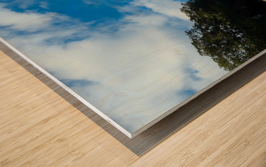 Sacred Heart of Montmartre -- Sacre-Cour Wood print