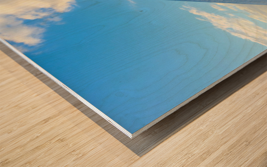 Just Louvre It  Wood print