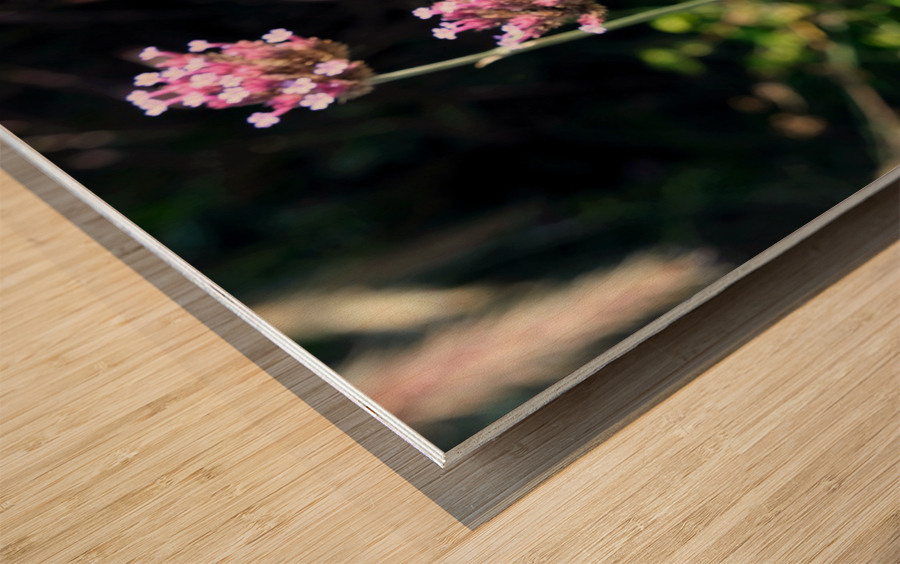 Flower Bloom 7B Wood print