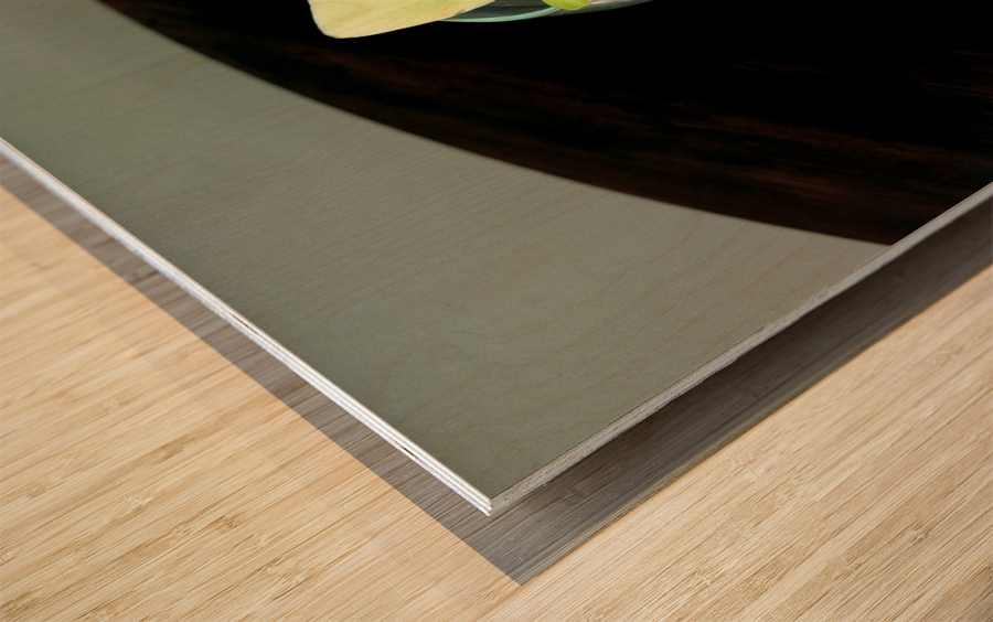 Glass Bloom 2 Wood print