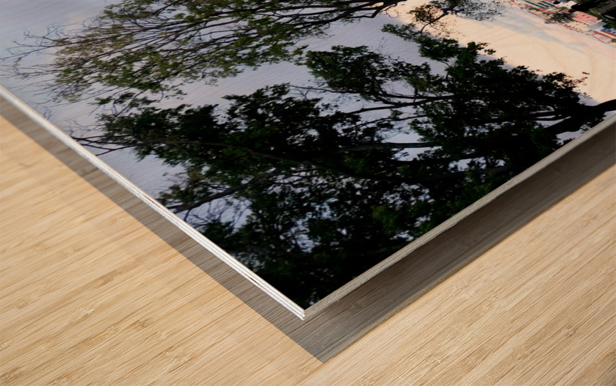 Lisbon Water Fountain  Wood print