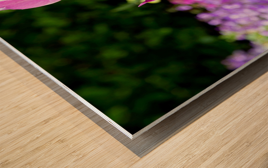 Tulips Are Better Than One 3 Wood print