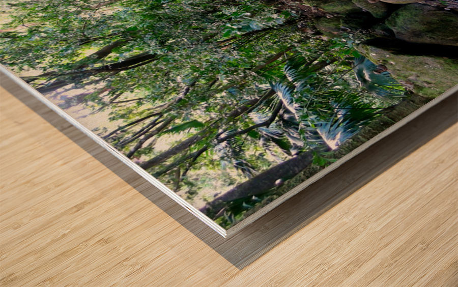 Hiking Hawaii Water Flow B Wood print