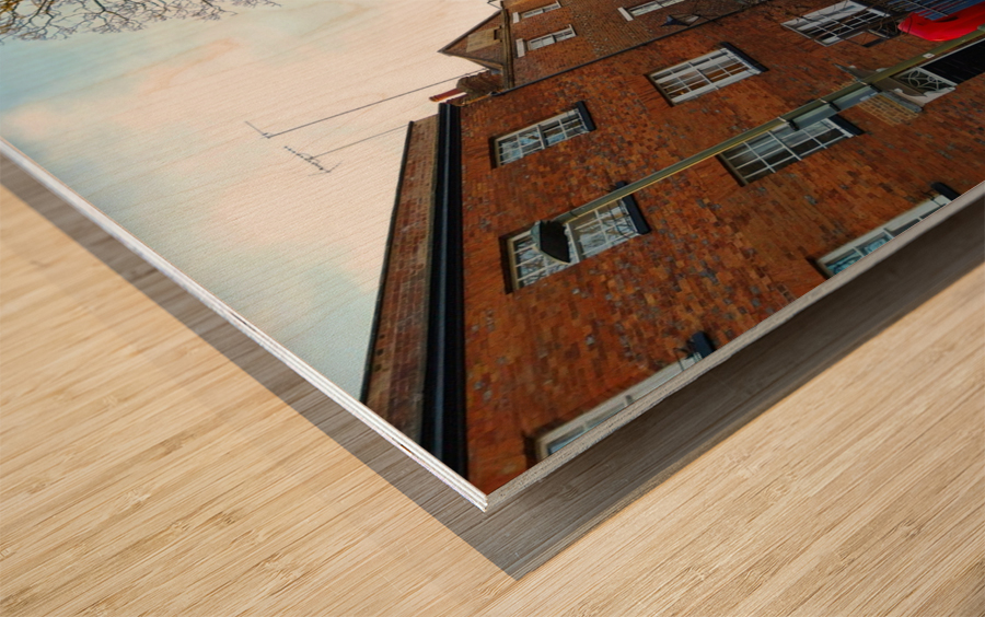 Quaking Bridge Oxford Wood print