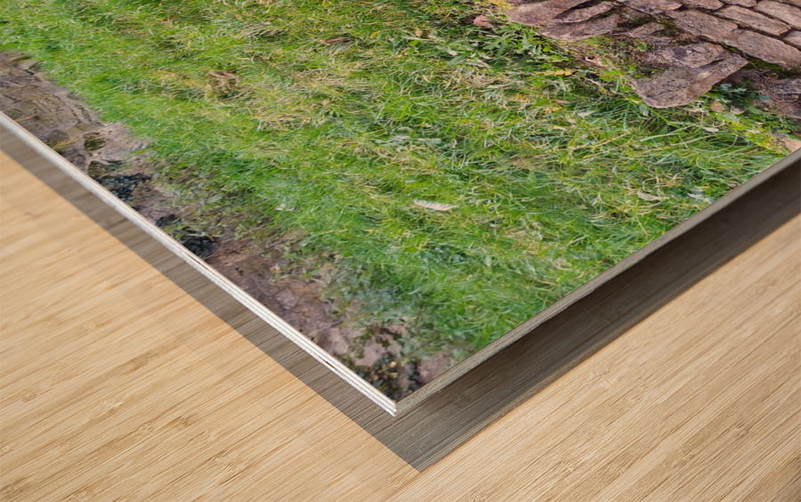 Barbed Stone Wall Wood print