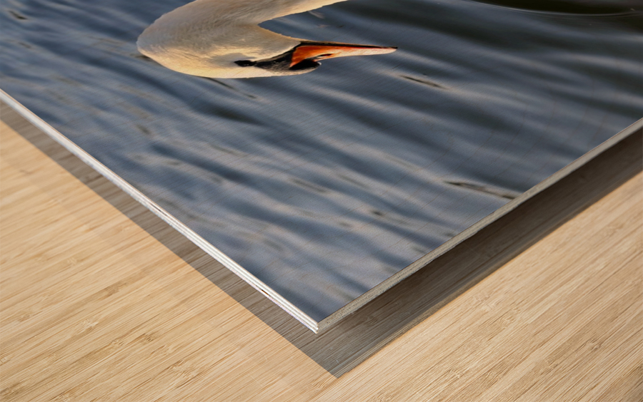 Wings of Love 1B Wood print