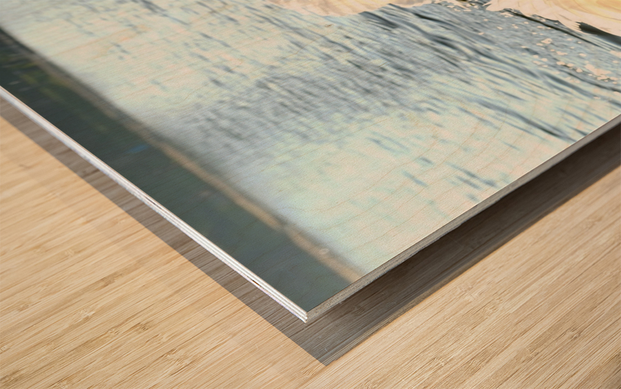 Wings of Love Pair 1A Wood print