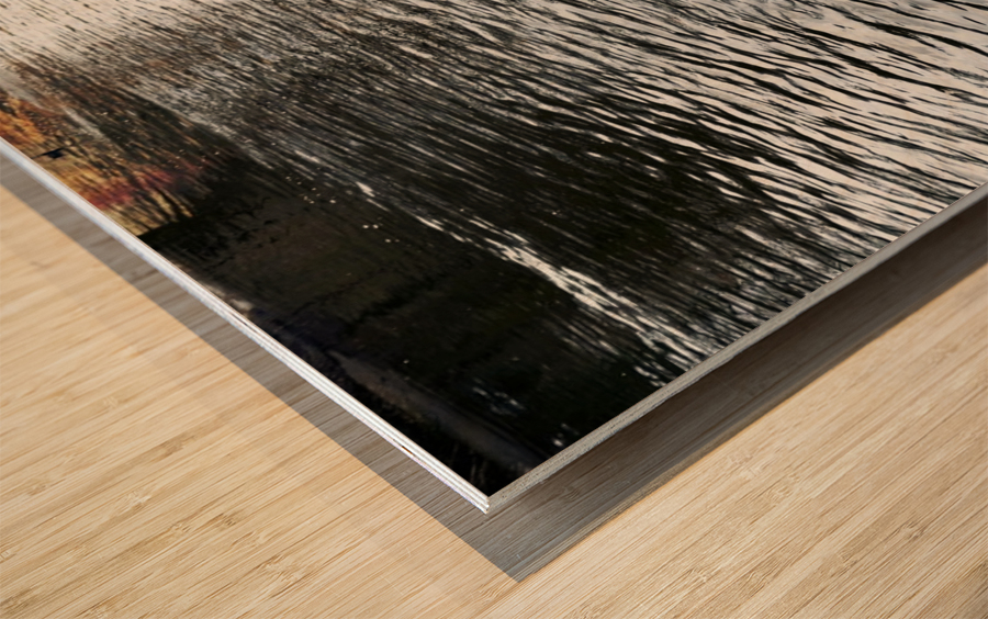 Ducking a Black Swan Moment Wood print